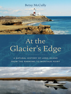 cover image of At the Glacier's Edge